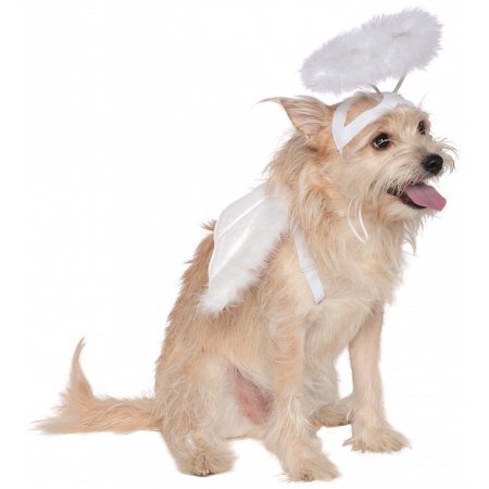 Angel Wings and Halo Pet Pet Costume - Medium/Large