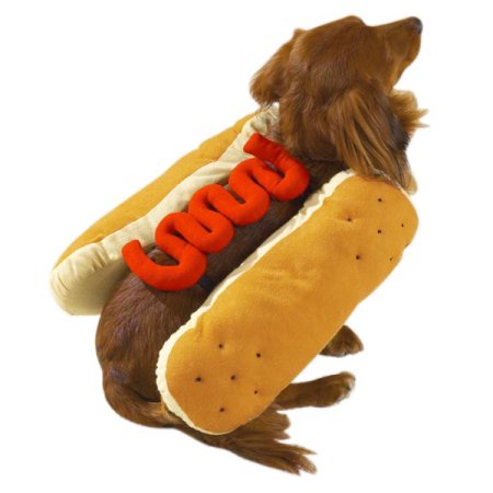 Casual Canine Hot Diggity Dog Costume L Mustard