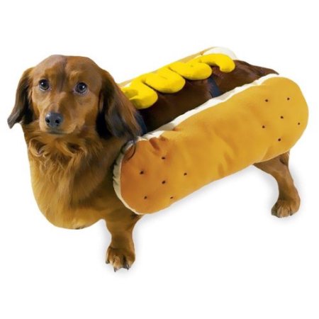 Casual Canine Hot Diggity Dog Costume Mustard, S