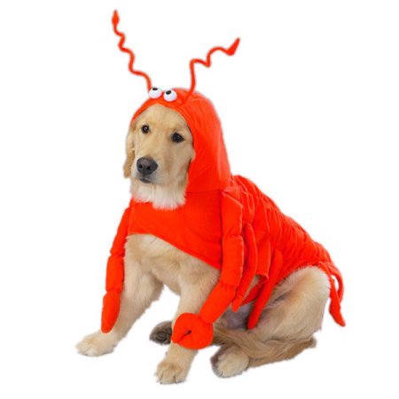 Casual Canine Lobster Paws Costume S