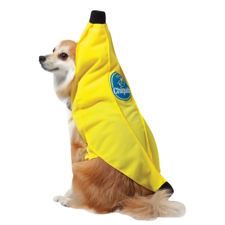 Chiquita Banana Dog Costume