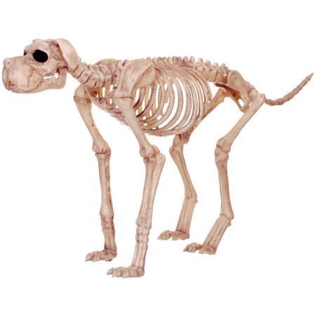 Large Skeleton Dog Halloween Decor