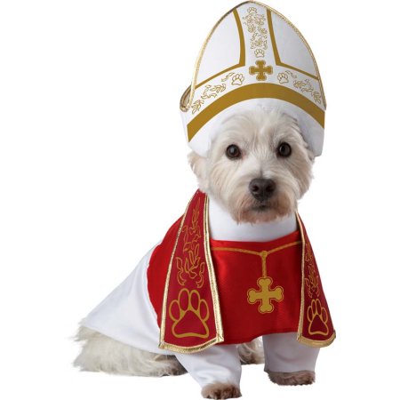 MFR BACKORDER SEASONAL 100915 Animal Planet Holy Hound Dog Costume XSmall