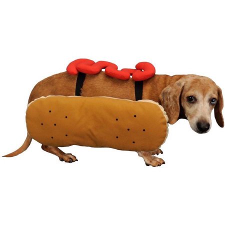 Otis and Claude Fetching Fashion Hot Diggity Dog Costume Ketchup, M