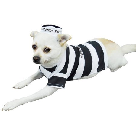 Otis and Claude Fetching Fashion Prison Pooch Costume, S