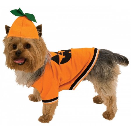Pumpkin Pet Pet Costume - Large