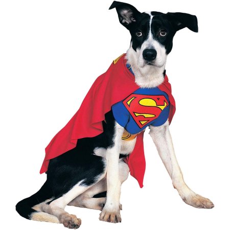 Superman Dog Costume - Medium