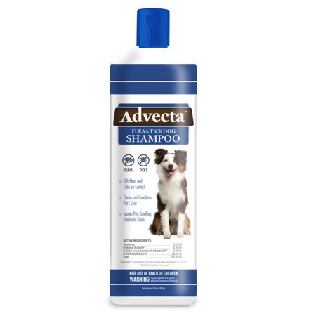 Advecta Flea and Tick â Flea and Tick Shampoo for Dogs