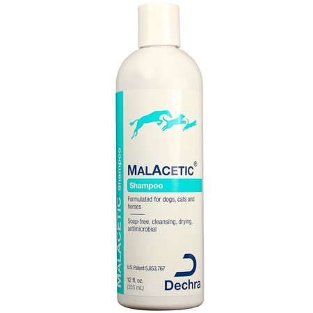 Dechra MalAcetic Shampoo for Dogs and Cats 12 oz