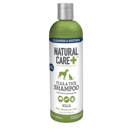 Natural Care Flea and Tick Shampoo for Dogs and Cats, 12 oz,