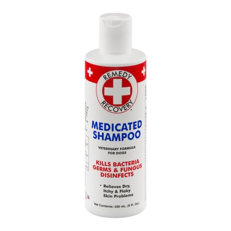 Remedy Recovery Medicated Shampoo For Dogs, 8.0 FL OZ
