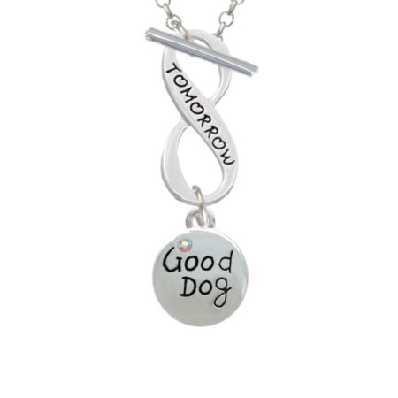 Good Dog with AB Crystal and Paw Print Today Tomorrow Infinity Toggle Necklace